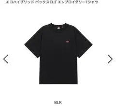 使用感あり　ナンガ　エンブロイダリー　Tシャツのサムネイル