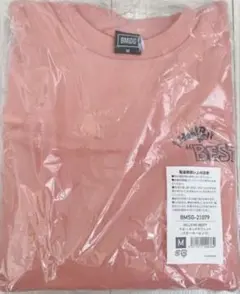 hello my besty アイドル