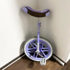 2025年最新】ブリヂストン 一輪車の人気アイテム - メルカリ