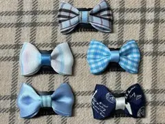 Item thumbnail for item d6a782ef-7a67-4401-8e7a-700305a1d36a