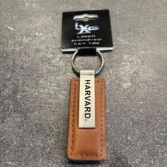 Item thumbnail for item 5eb1ea4f-a5a4-495f-862e-5e1d8156960c