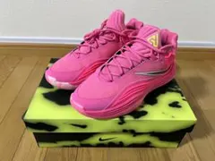 シューズ(男性用) NIKE zoom freak1 Rose s-l400.jpg