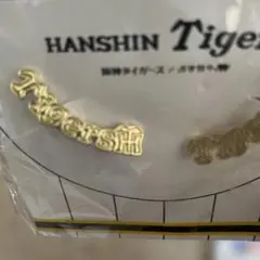 ‼️タイムセール終了‼️阪神タイガースピアス