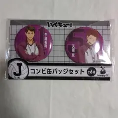 牛島若利　缶バッジ　20個　セット ハイキュー 牛島若利 オールスター缶バッジ