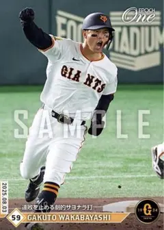 【新品未使用】若林楽人 まとめ売り 西武ライオンズ 新品未使用】若林楽人 まとめ売り 西武ライオンズ 2025年最新