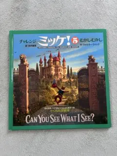 チャレンジミッケ