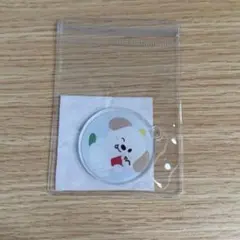 RIIZE タイ バンコク DIYチャーム アントン