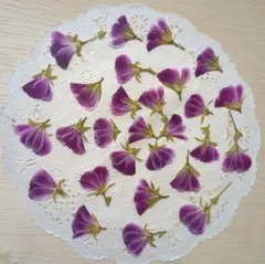 ☆そらしど様 リクエスト 2点 まとめ商品