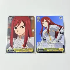 2026年最新】フェアリーテイル エルザ ヴァイスシュヴァルツの人気