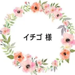 イチゴ 様