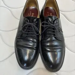 ハルタ711✖️FREDY&GLOSTER