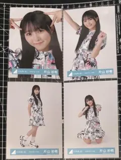 日向坂46 アイドル