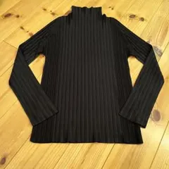 PLEATS PLEASE カットソー　長袖 PLEATS PLEASE プリーツプリーズ 長袖カットソー 良好 サイズ:4