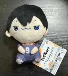 ハイキュー!! もちぴこぬいぐるみ 影山飛雄 タグ付き 新品未使用