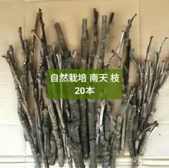 枝 工作素材