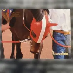 Road to the Winner、 エモシオン 【5点300円】