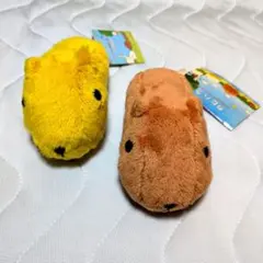 カピバラさん ぬいぐるみ 2体セット