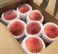 桃　山梨の桃　家庭用　peachのサムネイル