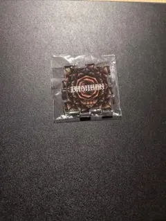 尽未来祭2025/DAY2/アクキー/BRAHMAN