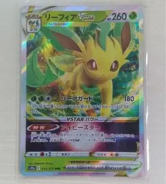 2025年最新】リーフィアvstarの人気アイテム - メルカリ