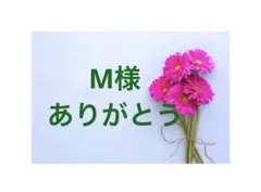 M様専用ページ/4