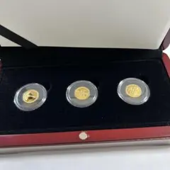 FIFA女子ワールドカップドイツ2011優勝公式記念メダル なでしこジャパン初優勝！「FIFA女子ワールドカップ2011