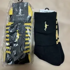 2足セット（28〜31cm）IN THE PAINTバスケットボールソックス