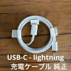 USB-C - Lightning iPhone充電ケーブル (純正)