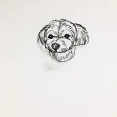 ワイヤークラフト アート トイプードル 四葉 メモリアル 額 壁掛け (03) ワイヤークラフト アート トイプードル 四葉 メモリアル 額 壁掛け (03)