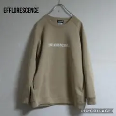完売品 エフロレッセンス EFFLORESCENCE シャツ ゴルフウェア L EFFLORESCENCE エフロレッセンス 長袖Tシャツ ロゴ ホワイト系 M