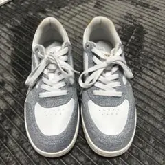 Item thumbnail for item df3af1c7-f4cb-45d5-a647-2e905f6027d9