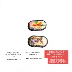 【状態がいい】【人気の高い】【現品限り】ポケットモンスター　　フレンダ　ピック