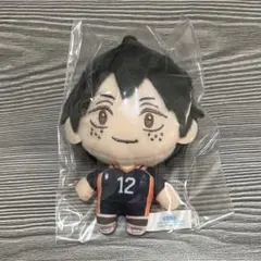 ハイキュー 山口忠 セガラッキーくじ