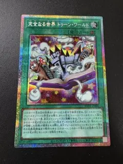 完全なる世界 トゥーン・ワールド プリシク - メルカリ