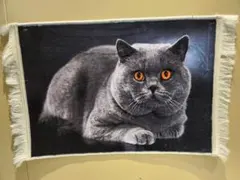 機械織り最高峰◆ペルシャ絨毯 猫柄 80×50cm 厚み8mm
