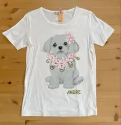 Item thumbnail for item 7a18884b-2077-459e-8964-88f1225ff8ad