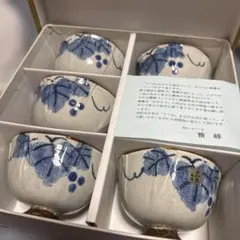 まるほん　とーき陶器 ぶどうデザイン ボウル 5個セット　鉢