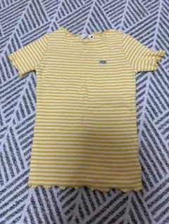 branshes リブトップス 100