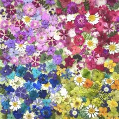 ꕤclara*様 リクエスト 2点 まとめ商品 - メルカリ