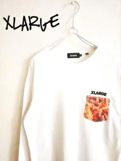 D221528 XLARGE グラフィック ロングスリーブT