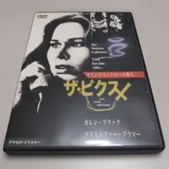 【レア】ザ・ピクス マインドコントロール殺人 DVDディスク