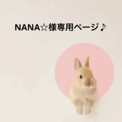 NANA☆様専用ページ♪