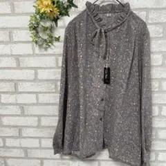 レディースファッション＊長袖＊ブラウス＊ペイズリー柄＊フリル＊大きいサイズ＊3L