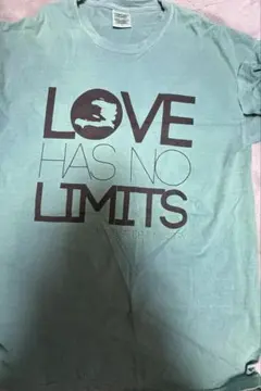 COMFORT COLORS Tシャツ Lサイズ