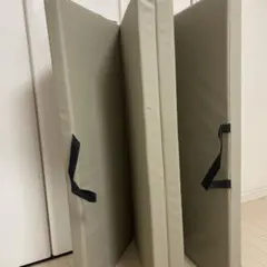 Item thumbnail for item 6b03d736-f284-4e9e-9882-57ce8fdd1eda