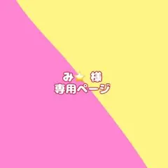 み⭐️様専用ページ(さとるぅと)