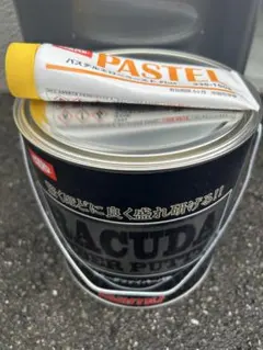 イサム塗料 ラクーダパテ120S 硬化剤セット - メルカリ