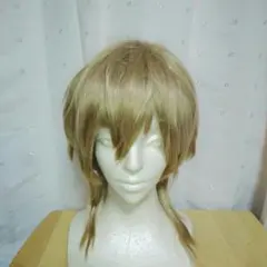 ヒプマイ あんスタ コスプレ ウィッグ