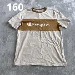 Champion カラーブロック Tシャツ