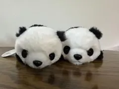 Item thumbnail for item a88e7a1c-b9e4-40c4-90d8-24c1b683ab14